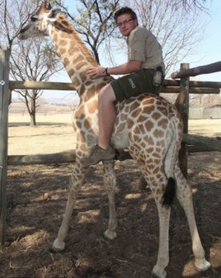 Man riding a giraffe.jpg